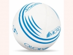 Faustball Micro 300 Jugend Nass